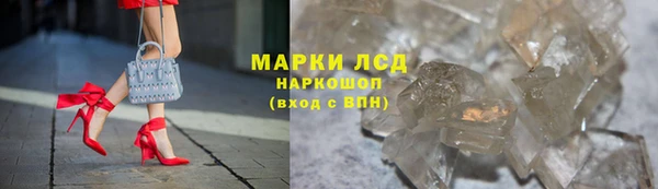 прущие грибы Алексин