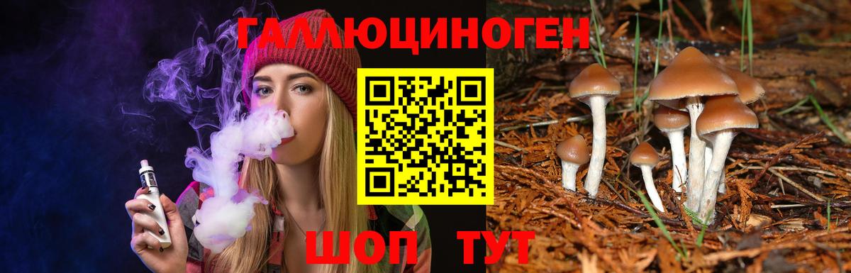 Псилоцибиновые грибы Psilocybe Глазов